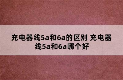 充电器线5a和6a的区别 充电器线5a和6a哪个好